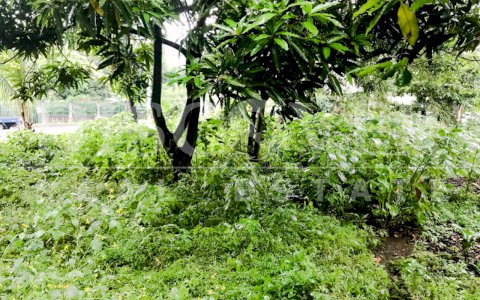 Land for Sale and Rent located in Carretera Masaya, Ticuantepe ID 11267