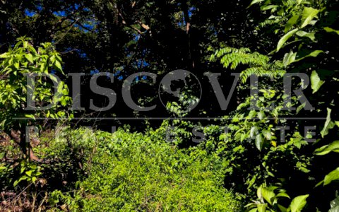  Flat Land for Sale located in Intermezzo del Bosque Residential ID 10348