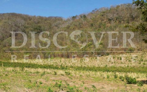 Land for sale located in Tola.