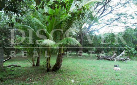 Land for Sale located in Santo Domingo ID 10359