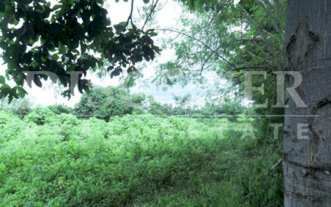 Flat Land for Sale in Veracruz ID 10013