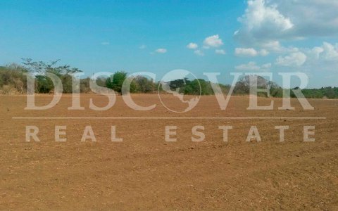 Flat Land for Sale in Veracruz ID 9781